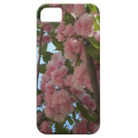 Double Blossoming Cherry Tree iPhone 5 Case
