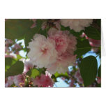 Double Blossoming Cherry Trees I Card