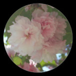 Double Blossoming Cherry Trees I Sticker