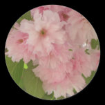 Double Blossoming Cherry Trees II Sticker