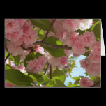 Double Blossoming Cherry Trees III Card