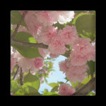 Double Blossoming Cherry Trees III Magnet