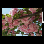 Double Blossoming Cherry Trees IV Card