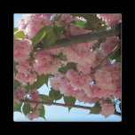 Double Blossoming Cherry Trees IV Magnet