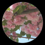 Double Blossoming Cherry Trees IV Sticker