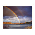 Double Bows postcards
