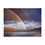 Double Bows postcards