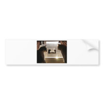 double cats picture bumper sticker