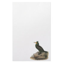 Double-crested Cormorant, John Audubon Custom Stationery