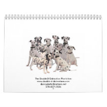 Double- D- Dalmatians  2010 calendars