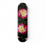 Double Delight Hybrid Tea Rose 'Andeli' Roses Skate Board Decks