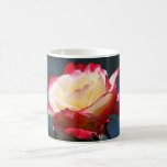 'Double Delight' hybrid tea rose Coffee Mugs