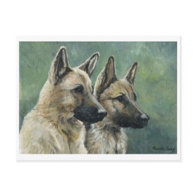 "Double Duty" German Shepherd Art Postcards by CharlottesWebArt