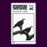 Double Eagle Stamp
