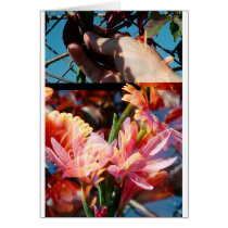 Double Exposed Hand & Flowers cards by fabricatedphotos Double Exposed Hand & Flowers cards