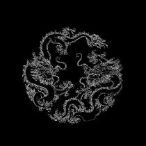 Double Fighting Chinese Dragon Tee t-shirts