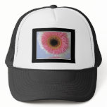 Double Gerbera Bloom hats