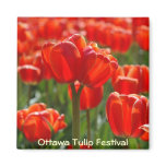 Double-headed tulip magnets