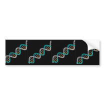 Double Helix Nucleic Acid Bumper Sticker