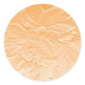 double hibiscus flower orange sticker