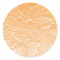 double hibiscus flower orange sticker