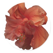 double hibiscus flower sticker