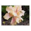 "Double Hibiscus" Note Card by DriveIndustries "Double Hibiscus" Note Card