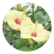 Double Hibiscus stickers