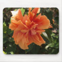 Double Hibscus Flower mousepads