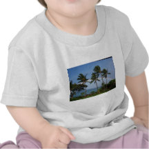 Double Maui Rainbow Tshirts