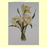 Double Narcissi cards