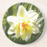 daffodil, narcissus, double, flower, floral,