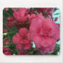Double Oleander 4