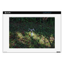 Double outlet water spigot 15" laptop skin