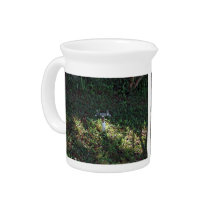 Double outlet water spigot beverage pitchers