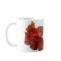 double peach hibiscus flower mugs