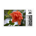 Double Peach Hibiscus Postage postage