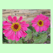 Double pink blooms cards