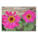 Double pink blooms cards