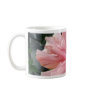 Double Pink Hibiscus 1