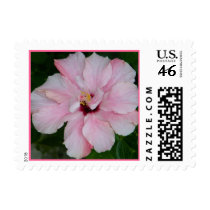 Double Pink Hibiscus Postage postage