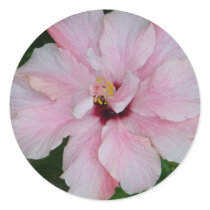 Double Pink Hibiscus Stickers by dlgray Double Pink Hibiscus Stickers