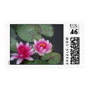 Double Pink Water Lily Postage postage