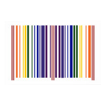 Double Rainbow Barcode posters
