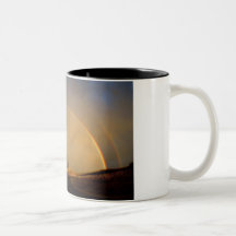 Double Rainbow Mugs
