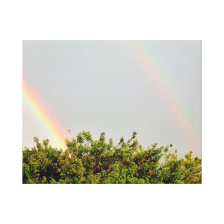 Double Rainbow Photo with sky and trees Stretched Canvas Print