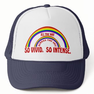 DOUBLE RAINBOW - SO VIVID SO INTENSE hat
