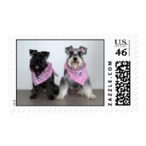 Double Schnauzers postage by completelove Double Schnauzers postage