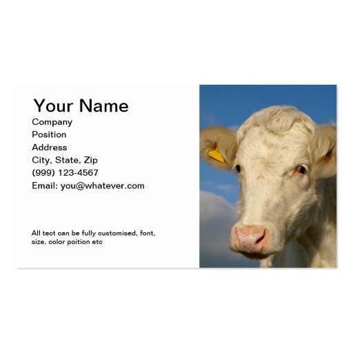 Double sided Farming Business Card (front side)