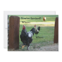 Double Sided Invitation, Rooster